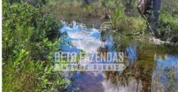 Fazenda à Venda 624 hectares Investidores e Produtores Rurais | Chapada Gaúcha/ MG