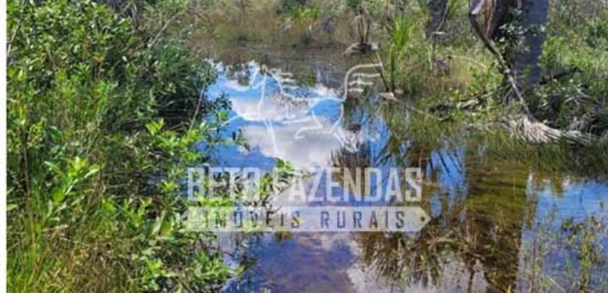 Fazenda à Venda 624 hectares Investidores e Produtores Rurais | Chapada Gaúcha/ MG