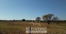 Fazenda 83.400 hectares Pecuária No Coração do Brasil | São Félix do Araguaia/MT