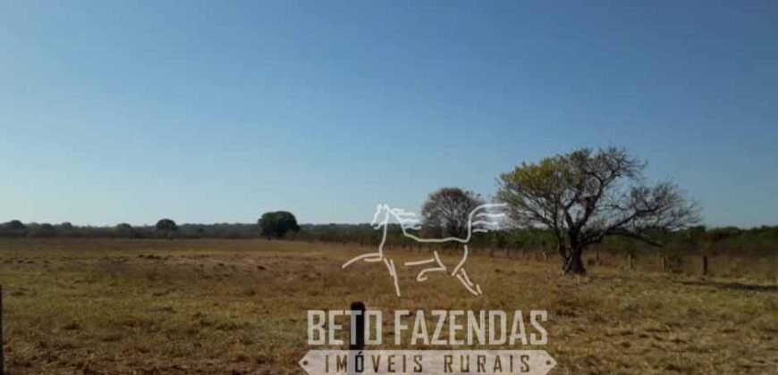Fazenda 83.400 hectares Pecuária No Coração do Brasil | São Félix do Araguaia/MT
