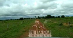 Fazenda 83.400 hectares Pecuária No Coração do Brasil | São Félix do Araguaia/MT