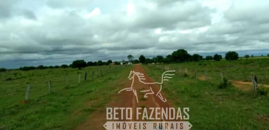 Fazenda 83.400 hectares Pecuária No Coração do Brasil | São Félix do Araguaia/MT