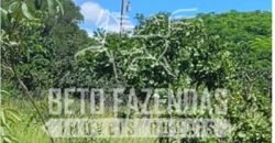 Fazenda à Venda 624 hectares Investidores e Produtores Rurais | Chapada Gaúcha/ MG