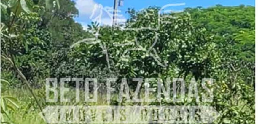 Fazenda à Venda 624 hectares Investidores e Produtores Rurais | Chapada Gaúcha/ MG