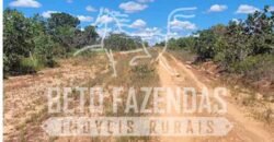 Fazenda à Venda 624 hectares Investidores e Produtores Rurais | Chapada Gaúcha/ MG