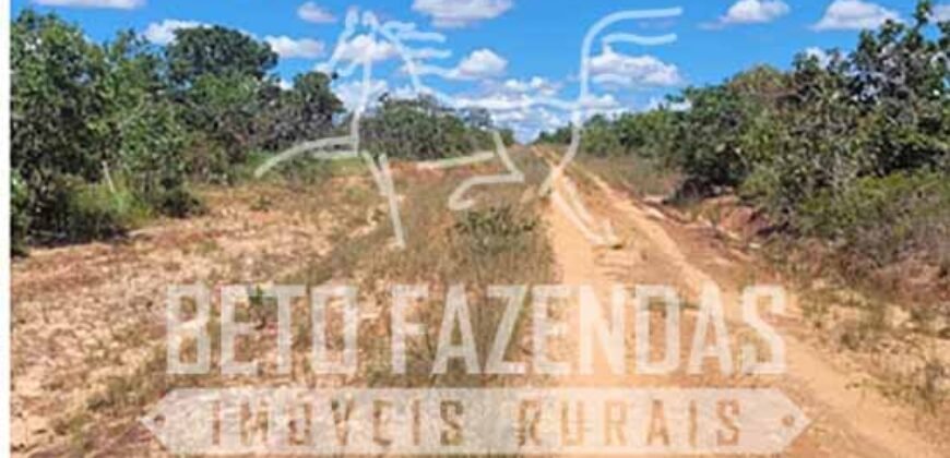 Fazenda à Venda 624 hectares Investidores e Produtores Rurais | Chapada Gaúcha/ MG