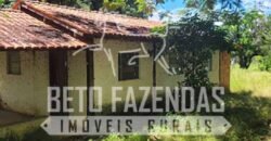 Fazenda à Venda 624 hectares Investidores e Produtores Rurais | Chapada Gaúcha/ MG