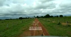 Fazenda 83.400 hectares Pecuária No Coração do Brasil | São Félix do Araguaia/MT