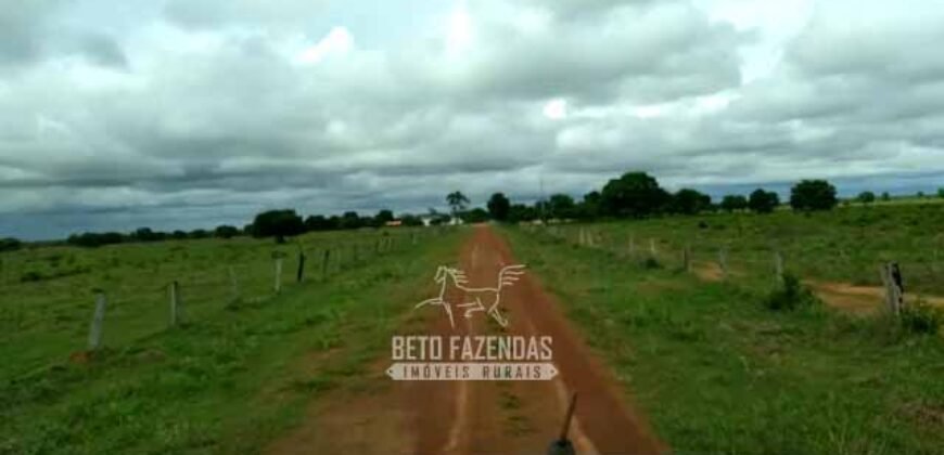 Fazenda 83.400 hectares Pecuária No Coração do Brasil | São Félix do Araguaia/MT
