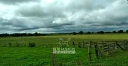 Fazenda 83.400 hectares Pecuária No Coração do Brasil | São Félix do Araguaia/MT