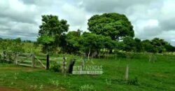 Fazenda 83.400 hectares Pecuária No Coração do Brasil | São Félix do Araguaia/MT