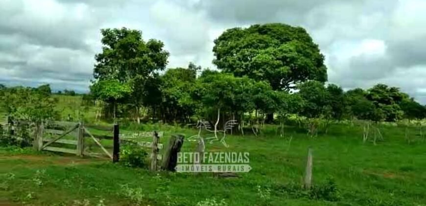 Fazenda 83.400 hectares Pecuária No Coração do Brasil | São Félix do Araguaia/MT