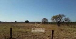 Fazenda 83.400 hectares Pecuária No Coração do Brasil | São Félix do Araguaia/MT