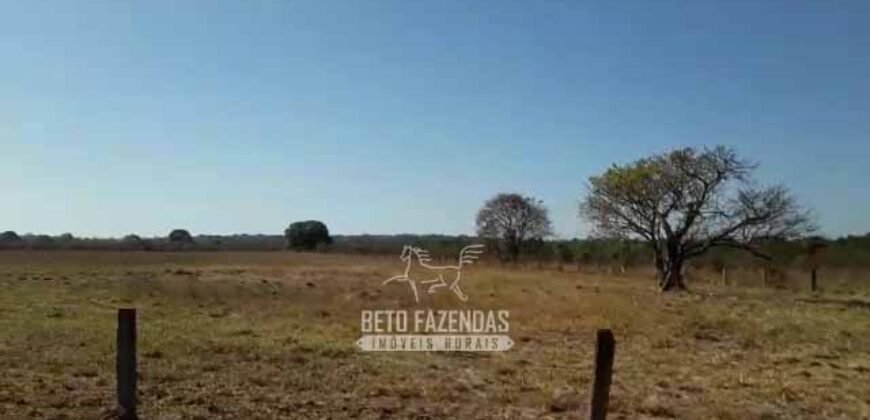 Fazenda 83.400 hectares Pecuária No Coração do Brasil | São Félix do Araguaia/MT