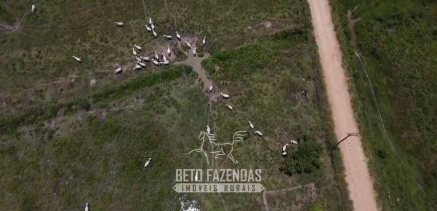 Fazenda com Potencial 300 hectares Ideal para pecuária | Silva Jardim/ RJ