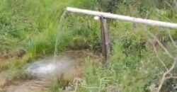 Fazenda de Café 41 hectares Alta Produtividade à Venda | Três Pontas/ MG