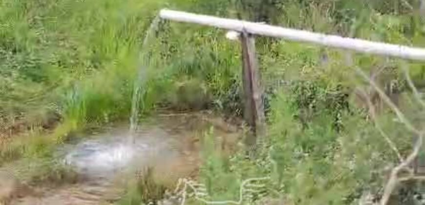 Fazenda de Café 48 hectares Alta Produtividade à Venda | Três Pontas/ MG Fazenda de Café 48 hectares Alta Produtividade à Venda | Três Pontas/ MG