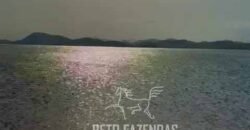 Fazenda 469 Has Ótimo Investimento na Pecuária e Turismo | Saquarema/ RJ