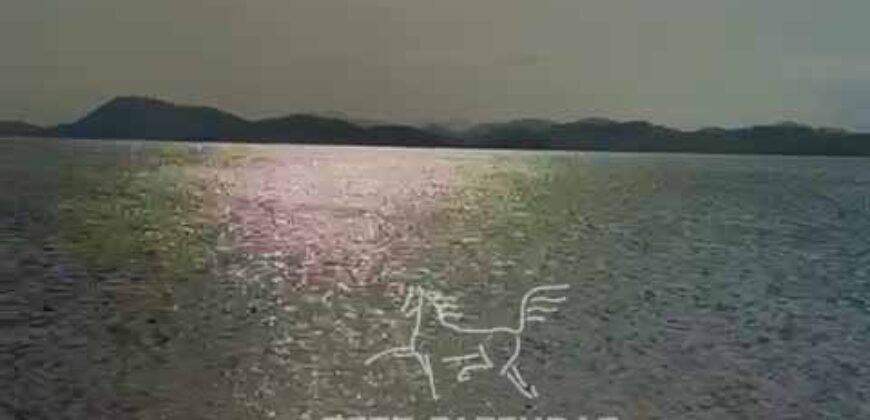 Fazenda 469 Has Ótimo Investimento na Pecuária e Turismo | Saquarema/ RJ