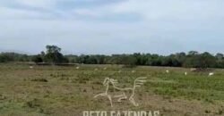 Fazenda 469 Has Ótimo Investimento na Pecuária e Turismo | Saquarema/ RJ