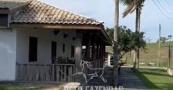 Fazenda 469 Has Ótimo Investimento na Pecuária e Turismo | Saquarema/ RJ
