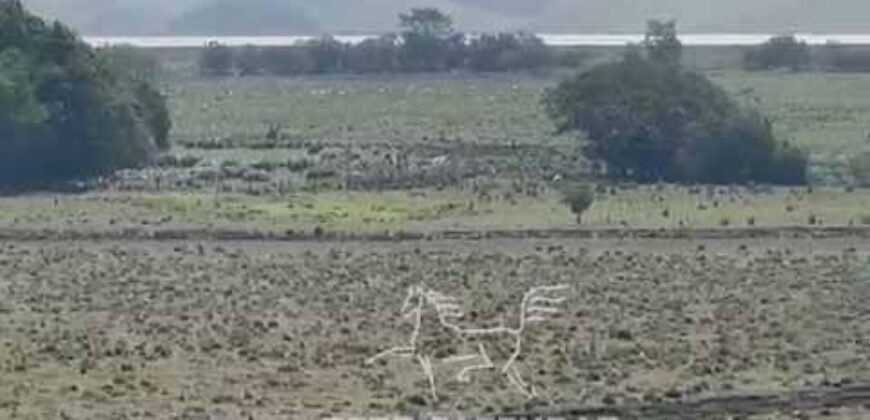 Fazenda 469 Has Ótimo Investimento na Pecuária e Turismo | Saquarema/ RJ