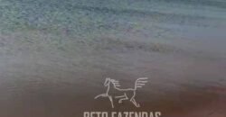 Fazenda 469 Has Ótimo Investimento na Pecuária e Turismo | Saquarema/ RJ