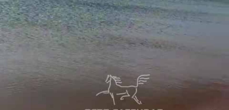 Fazenda 469 Has Ótimo Investimento na Pecuária e Turismo | Saquarema/ RJ