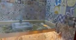 Fazenda 469 Has Ótimo Investimento na Pecuária e Turismo | Saquarema/ RJ