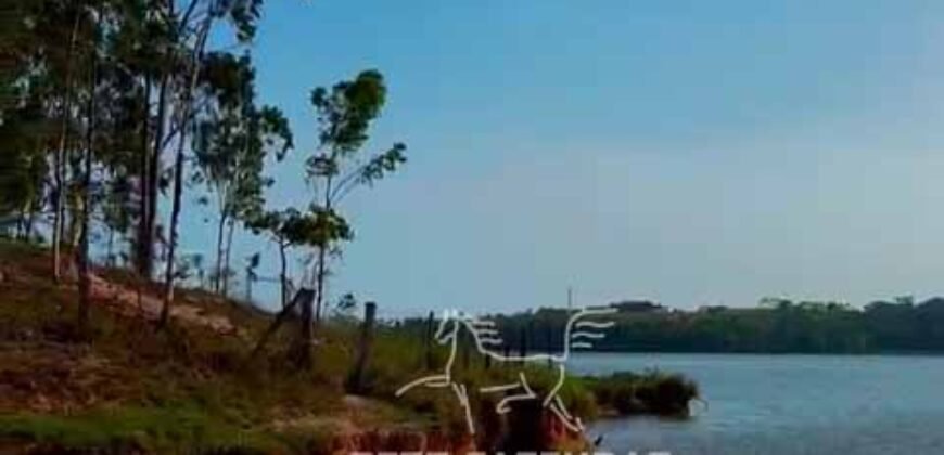 Fazenda 469 Has Ótimo Investimento na Pecuária e Turismo | Saquarema/ RJ