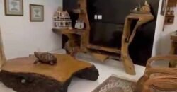 Fazenda 469 Has Ótimo Investimento na Pecuária e Turismo | Saquarema/ RJ