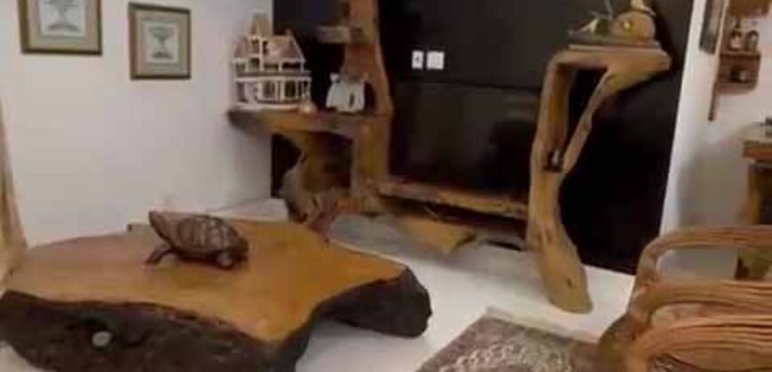 Fazenda 469 Has Ótimo Investimento na Pecuária e Turismo | Saquarema/ RJ