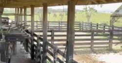 Fazenda 469 Has Ótimo Investimento na Pecuária e Turismo | Saquarema/ RJ