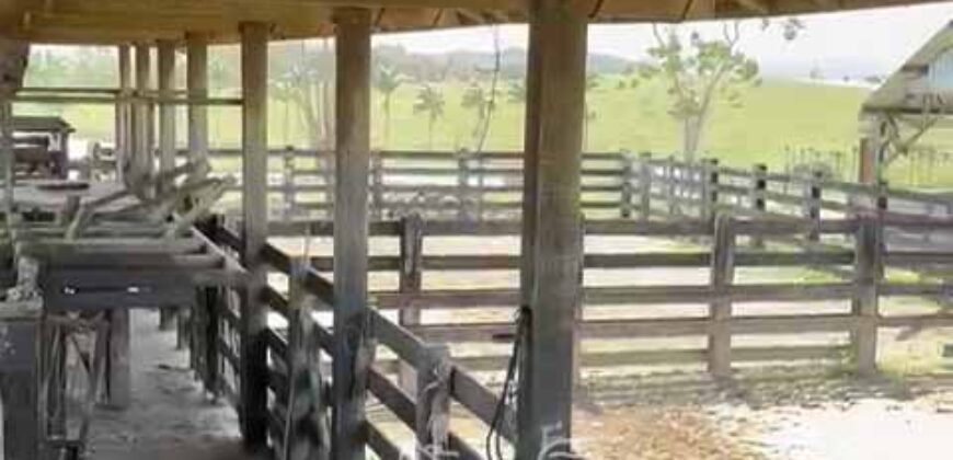 Fazenda 469 Has Ótimo Investimento na Pecuária e Turismo | Saquarema/ RJ