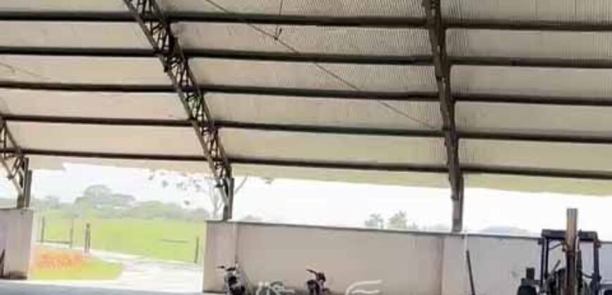 Fazenda 469 Has Ótimo Investimento na Pecuária e Turismo | Saquarema/ RJ