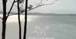 Fazenda 469 Has Ótimo Investimento na Pecuária e Turismo | Saquarema/ RJ