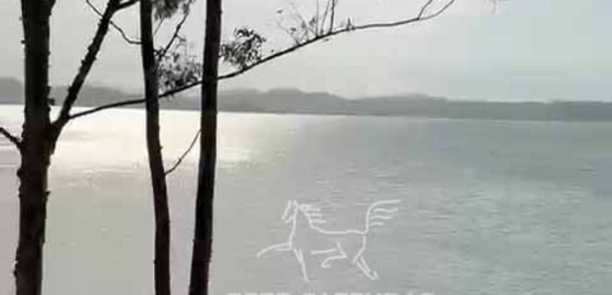 Fazenda 469 Has Ótimo Investimento na Pecuária e Turismo | Saquarema/ RJ