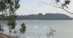 Fazenda 469 Has Ótimo Investimento na Pecuária e Turismo | Saquarema/ RJ