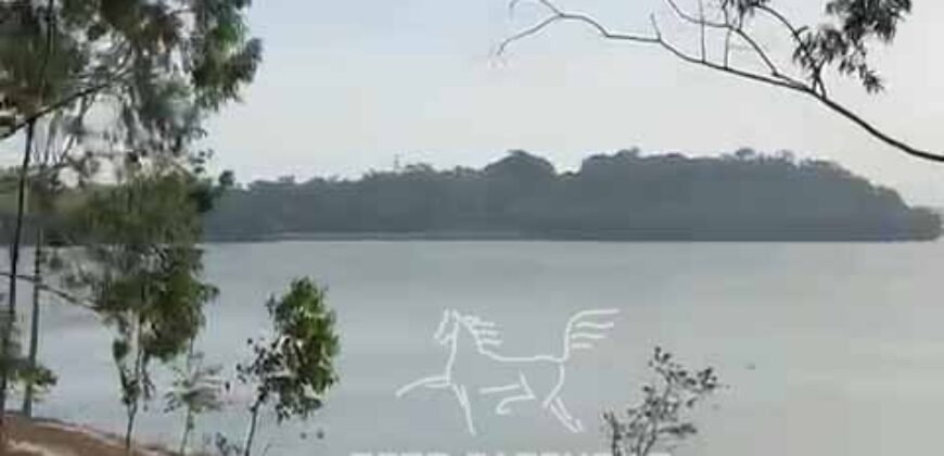 Fazenda 469 Has Ótimo Investimento na Pecuária e Turismo | Saquarema/ RJ