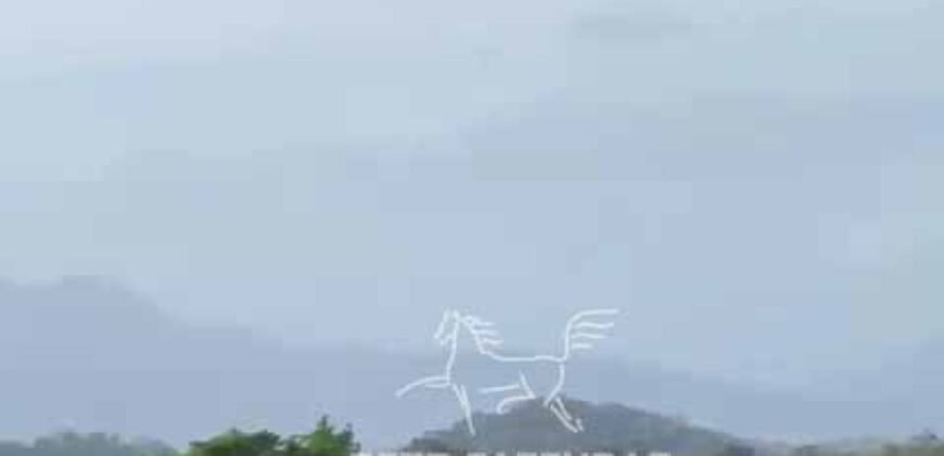 Fazenda 469 Has Ótimo Investimento na Pecuária e Turismo | Saquarema/ RJ