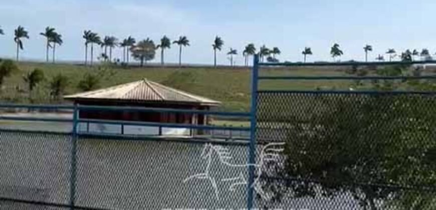 Fazenda 469 Has Ótimo Investimento na Pecuária e Turismo | Saquarema/ RJ