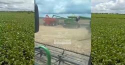 Fazenda à Venda 40.600 hectares Dupla Aptidão e Pista de Pouso | Vale do Araguaia/ TO