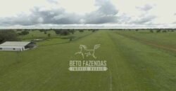 Fazenda à Venda 40.600 hectares Dupla Aptidão e Pista de Pouso | Vale do Araguaia/ TO