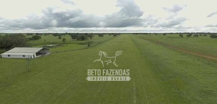 Fazenda à Venda 40.600 hectares Dupla Aptidão e Pista de Pouso | Vale do Araguaia/ TO