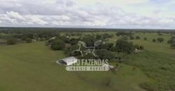 Fazenda à Venda 40.600 hectares Dupla Aptidão e Pista de Pouso | Vale do Araguaia/ TO