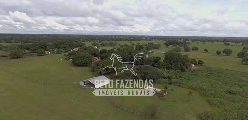 Fazenda à Venda 40.600 hectares Dupla Aptidão e Pista de Pouso | Vale do Araguaia/ TO