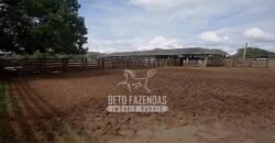 Fazenda à Venda 40.600 hectares Dupla Aptidão e Pista de Pouso | Vale do Araguaia/ TO