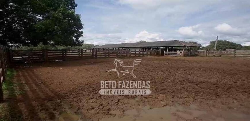 Fazenda à Venda 40.600 hectares Dupla Aptidão e Pista de Pouso | Vale do Araguaia/ TO