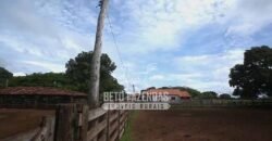 Fazenda à Venda 40.600 hectares Dupla Aptidão e Pista de Pouso | Vale do Araguaia/ TO