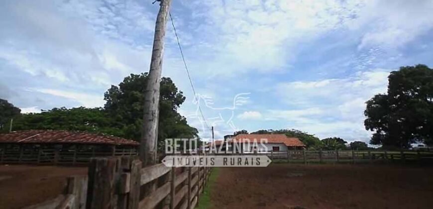 Fazenda à Venda 40.600 hectares Dupla Aptidão e Pista de Pouso | Vale do Araguaia/ TO